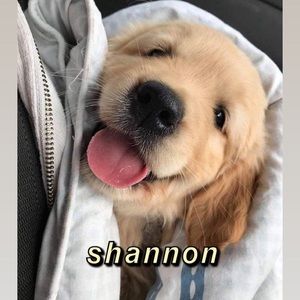 Meet your Posher, Shannon